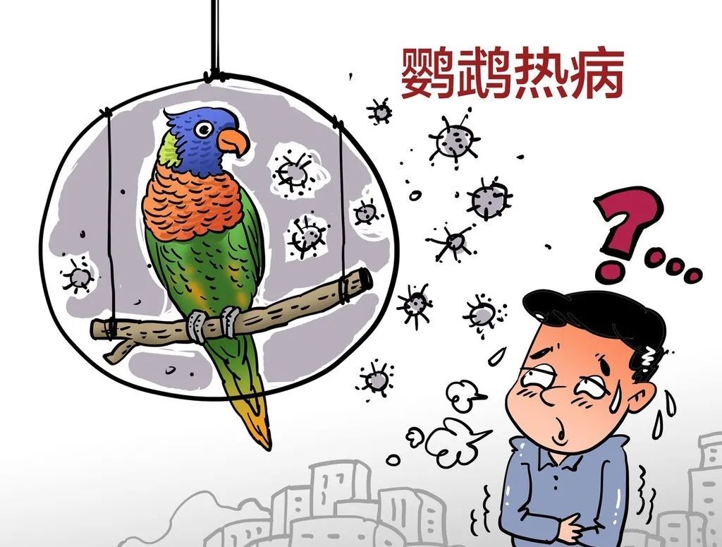 區(qū)醫(yī)院MICU成功救治一例鸚鵡熱衣原體感染導(dǎo)致重癥肺炎患者